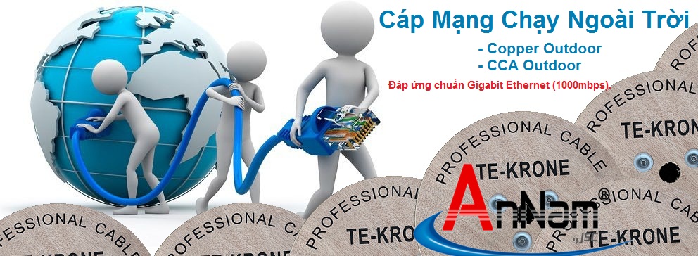 Cáp mạng TE-KRONE Cat5E Copper ngoài trời