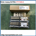 Ổ cắm mạng Commscope AMP XG Cat6A Modular Jack 1711343-2